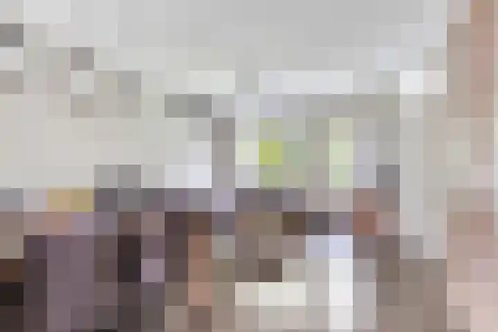 Hermelijnsingel 20 Bergen L thumbnail 4