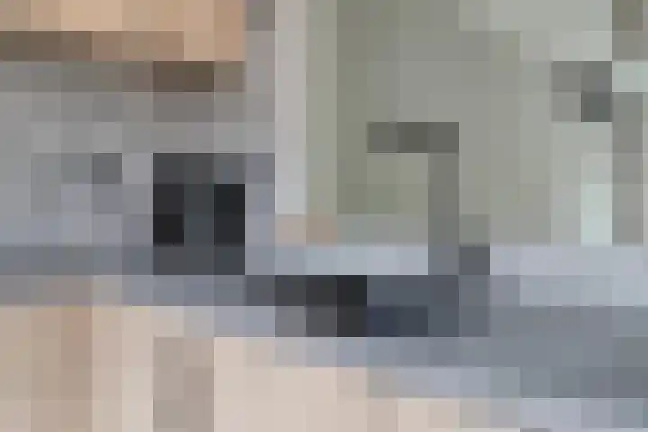 Hermelijnsingel 20 Bergen L thumbnail 9