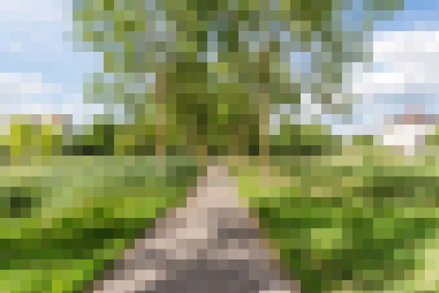 Hermelijnsingel 23 Culemborg thumbnail 37