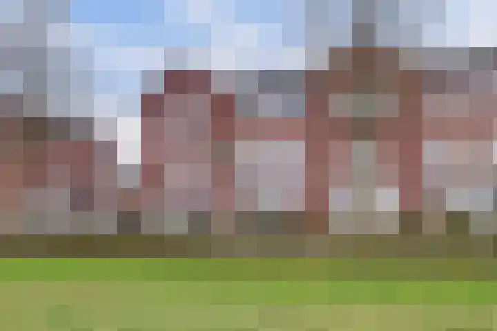 Hermelijnsingel 27 Culemborg thumbnail 36