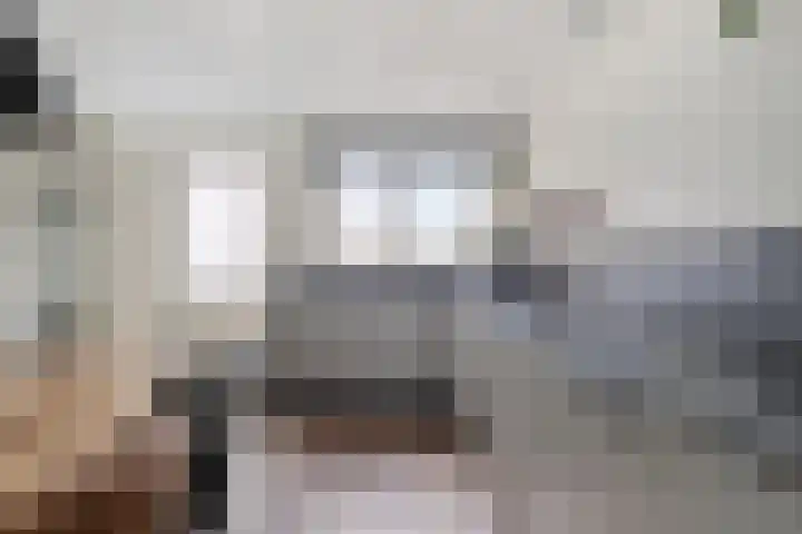 Hermelijnsingel 33 Bergen L thumbnail 13