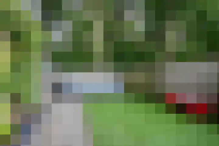 Hermelijnsingel 33 Bergen L thumbnail 32
