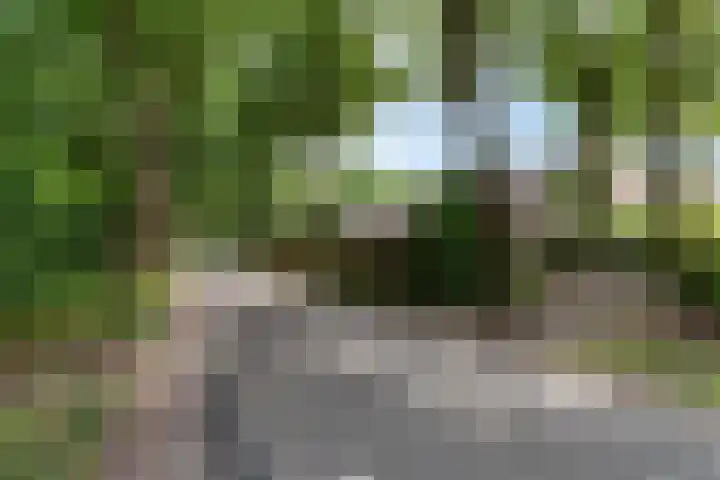 Hermelijnsingel 33 Bergen L thumbnail 40