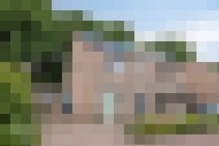 Hermelijnsingel 33 Bergen L thumbnail 45