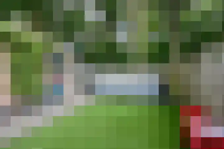 Hermelijnsingel 33 Bergen L thumbnail 6