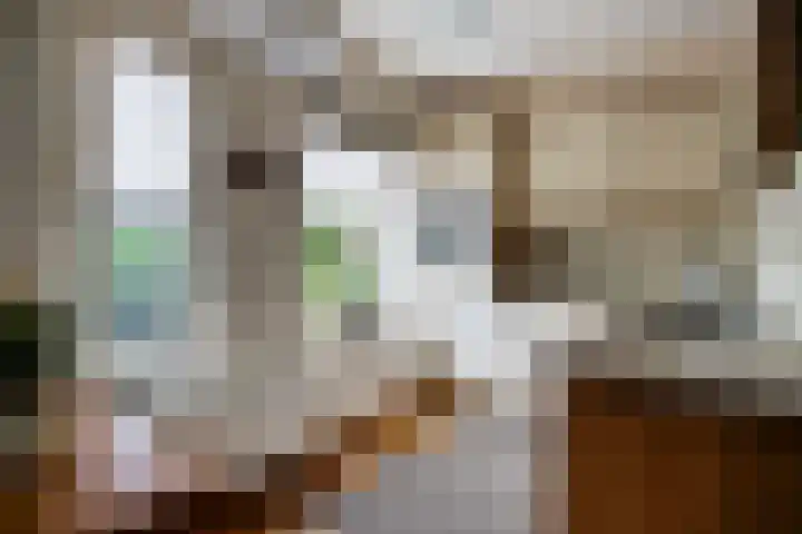 Hermelijnsingel 39 Bergen L thumbnail 10