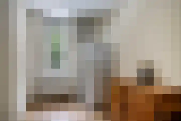 Hermelijnsingel 39 Bergen L thumbnail 14