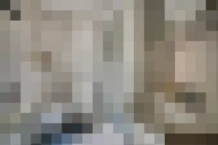 Hermelijnsingel 39 Bergen L thumbnail 16