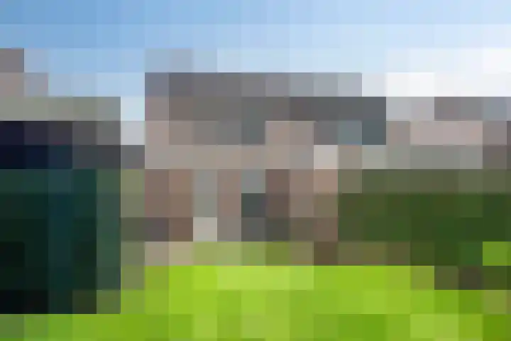 Hermelijnsingel 39 Bergen L thumbnail 20