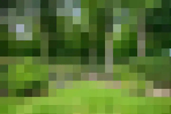 Hermelijnsingel 39 Bergen L thumbnail 23