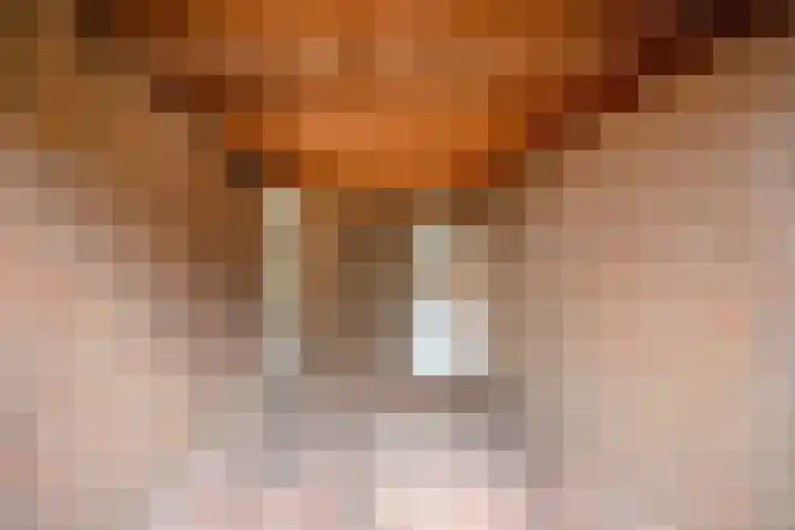 Hermelijnsingel 39 Bergen L thumbnail 24