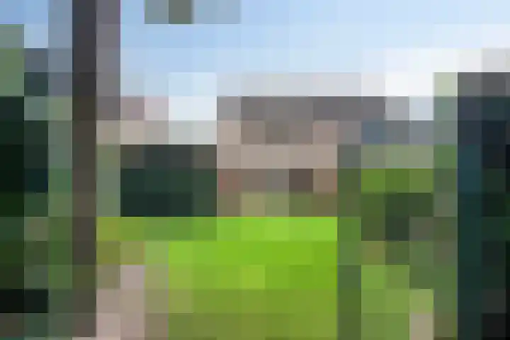 Hermelijnsingel 39 Bergen L thumbnail 27