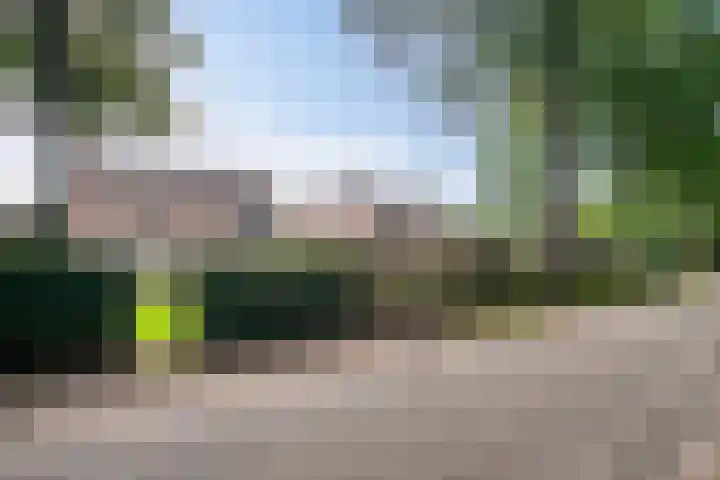 Hermelijnsingel 39 Bergen L thumbnail 28