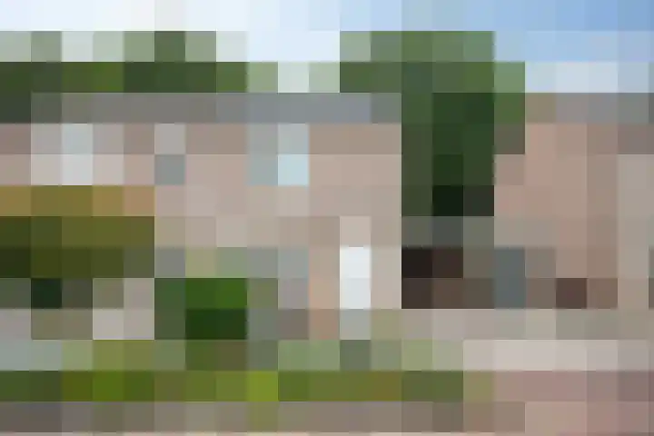Hermelijnsingel 39 Bergen L thumbnail 29