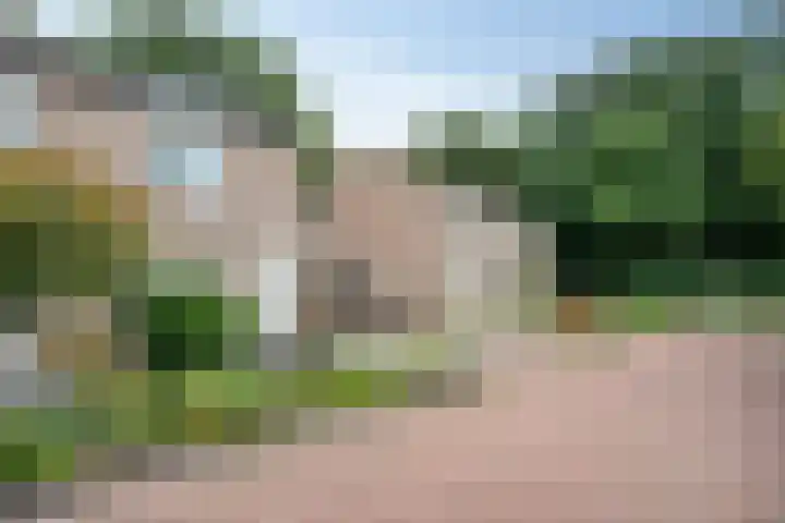 Hermelijnsingel 39 Bergen L thumbnail 30
