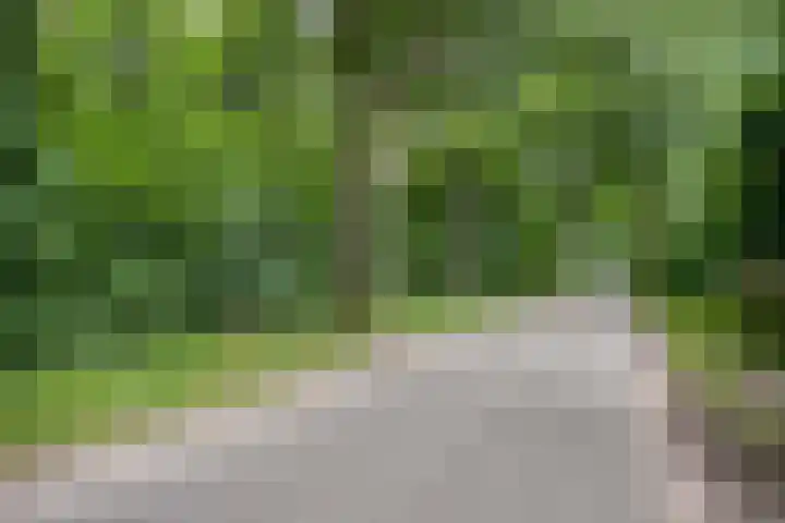 Hermelijnsingel 39 Bergen L thumbnail 31