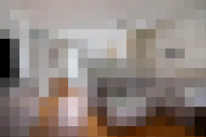 Hermelijnsingel 39 Bergen L thumbnail 8