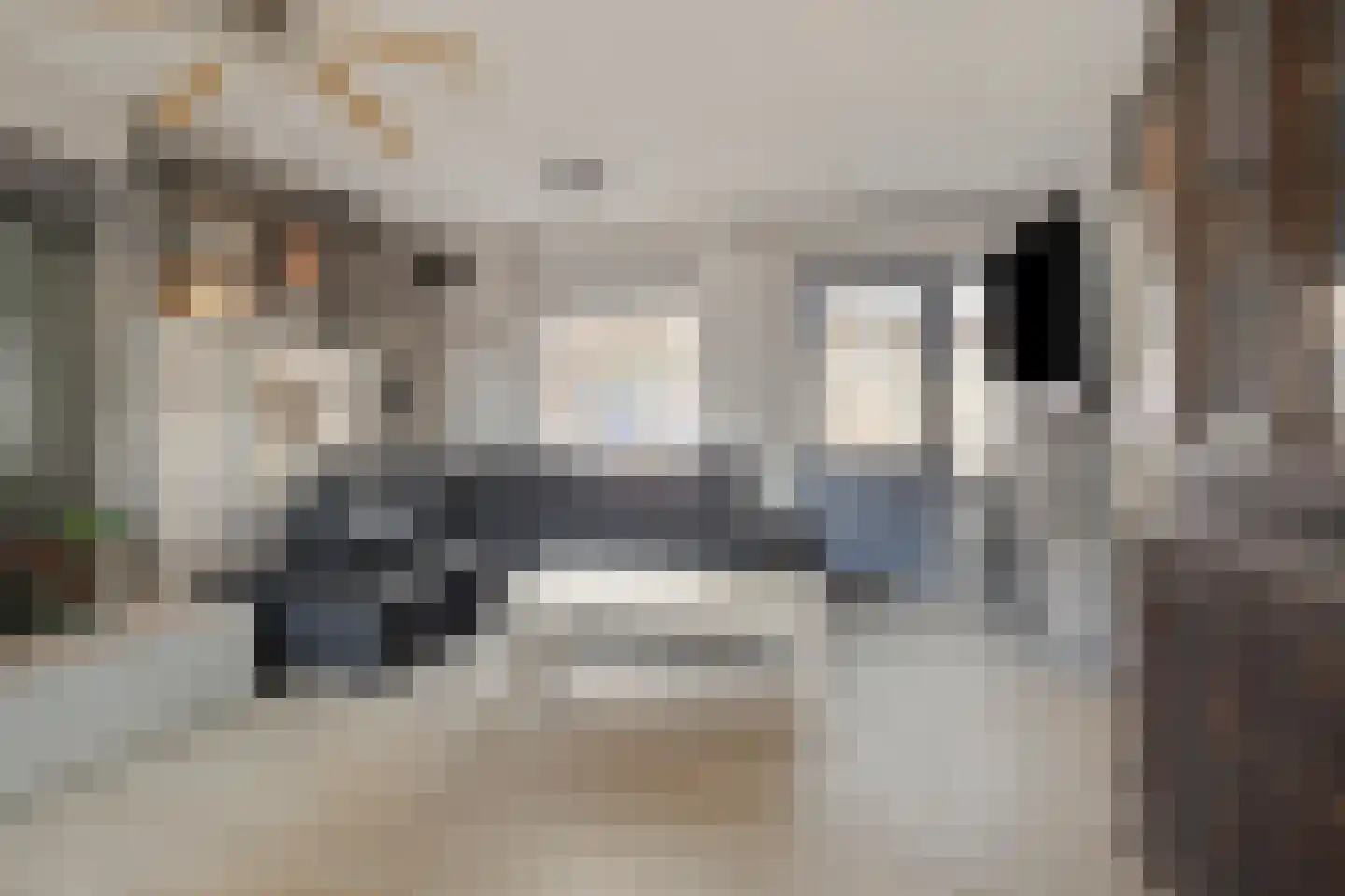 Hermelijnsingel 5 Bergen L thumbnail 13