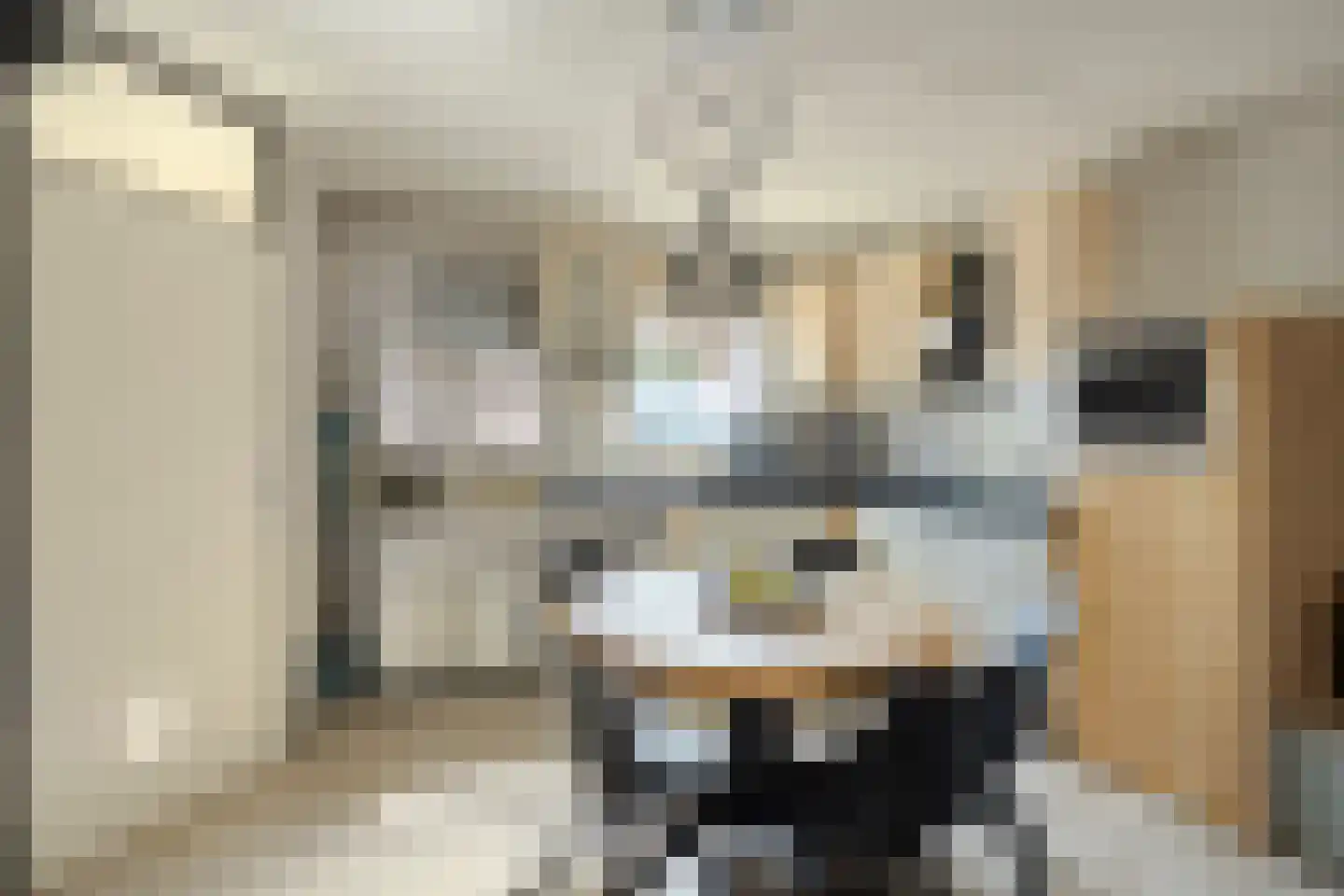Hermelijnsingel 5 Bergen L thumbnail 16