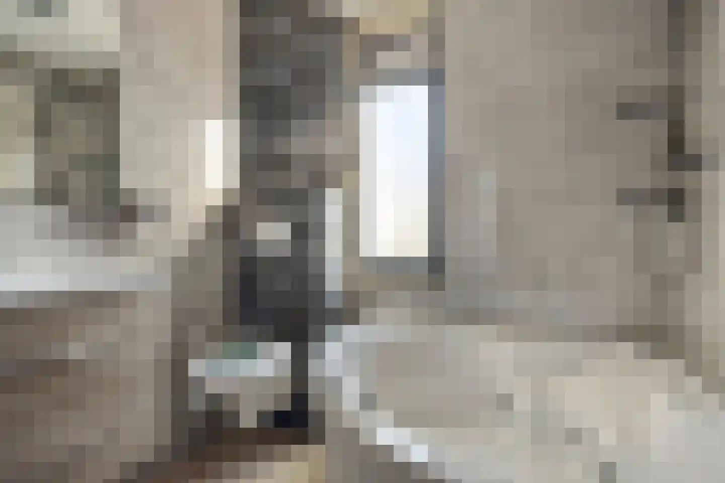 Hermelijnsingel 5 Bergen L thumbnail 5