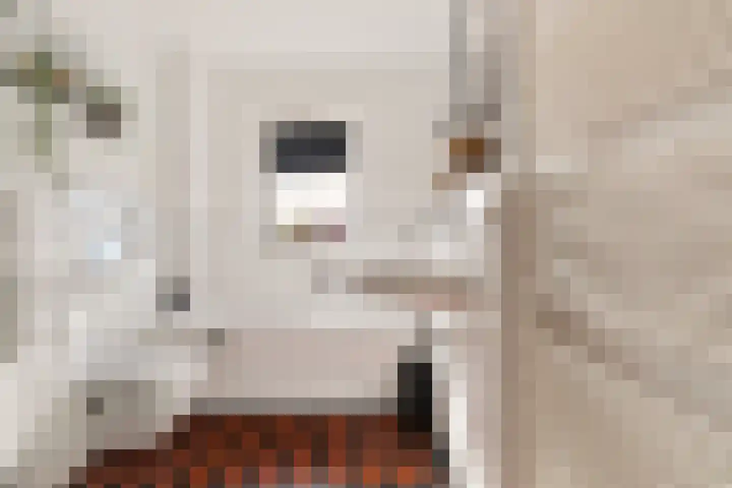 Hermelijnsingel 65 Culemborg thumbnail 31