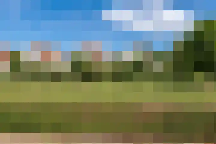 Hermelijnsingel 87 Culemborg thumbnail 41
