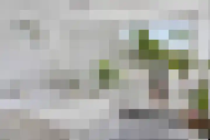 Hermelijnstraat 16 Breda thumbnail 10