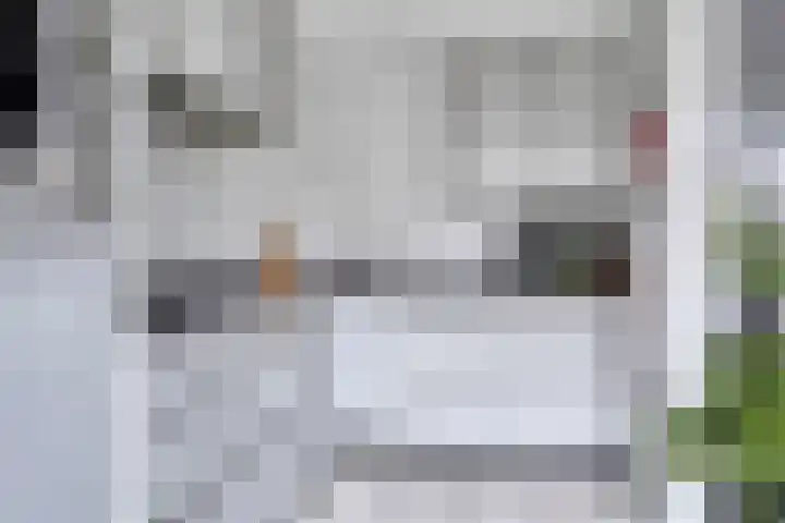 Hermelijnstraat 16 Breda thumbnail 6