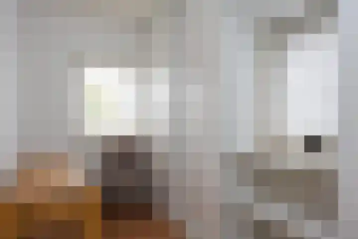 Hermelijnstraat 20 Hengelo thumbnail 21
