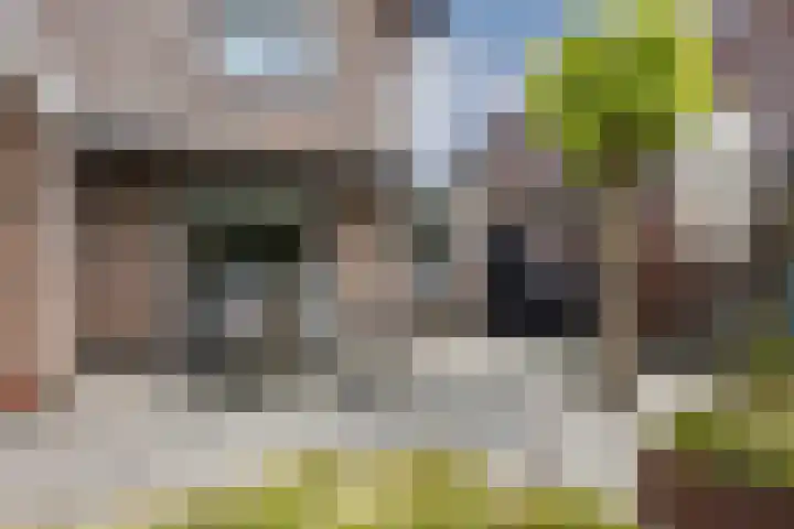 Hermelijnstraat 20 Hengelo thumbnail 30