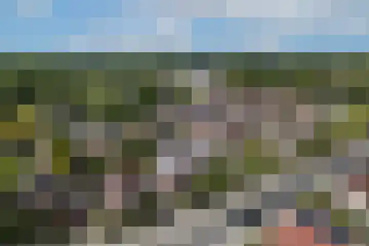 Hermelijnstraat 20 Hengelo thumbnail 37