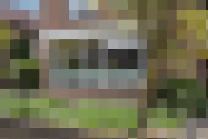 Hermelijnstraat 20 Hengelo thumbnail 5