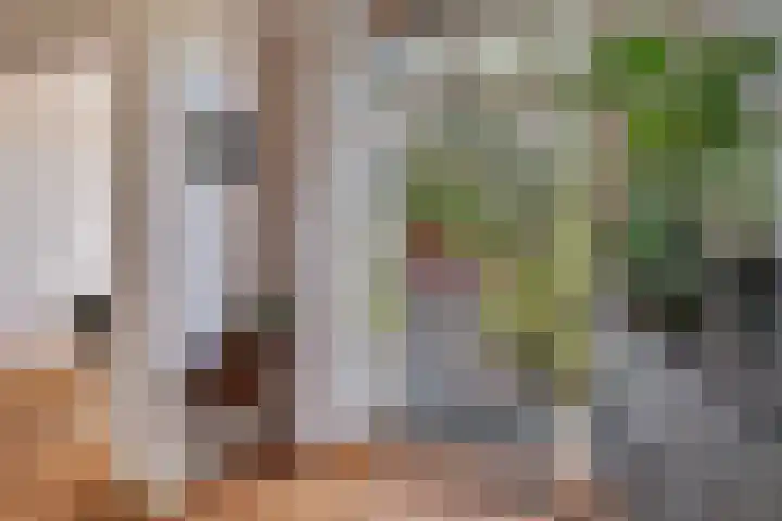 Hermelijnstraat 21 Nijmegen thumbnail 12
