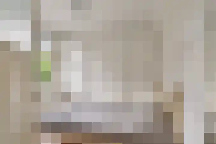 Hermelijnstraat 21 Nijmegen thumbnail 21