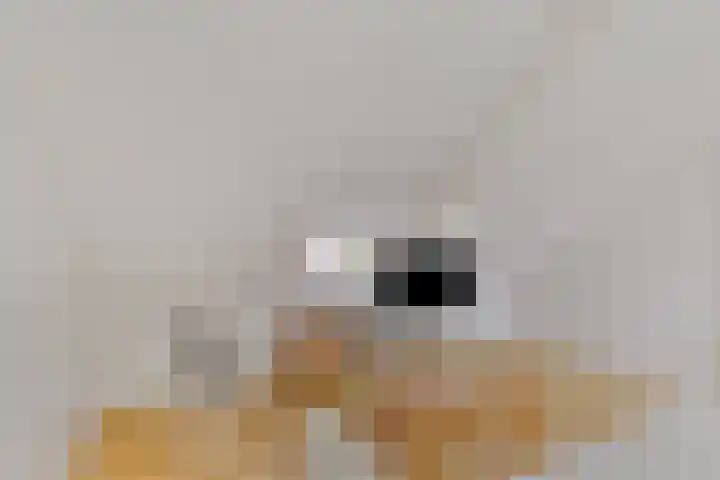 Hermelijnstraat 21 Nijmegen thumbnail 26