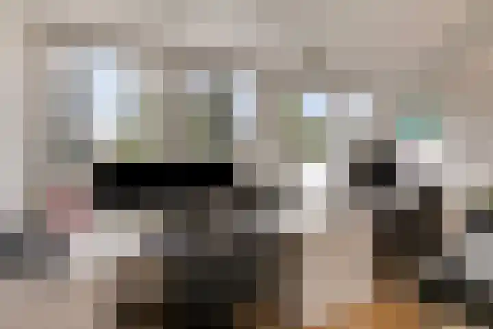 Hermelijnstraat 21 Nijmegen thumbnail 28