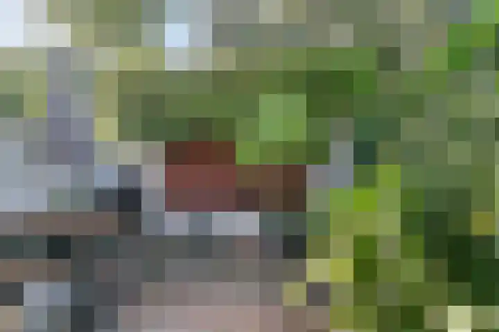 Hermelijnstraat 21 Nijmegen thumbnail 29