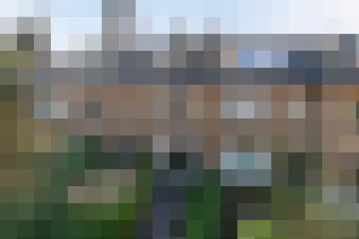 Hermelijnstraat 21 Nijmegen thumbnail 32