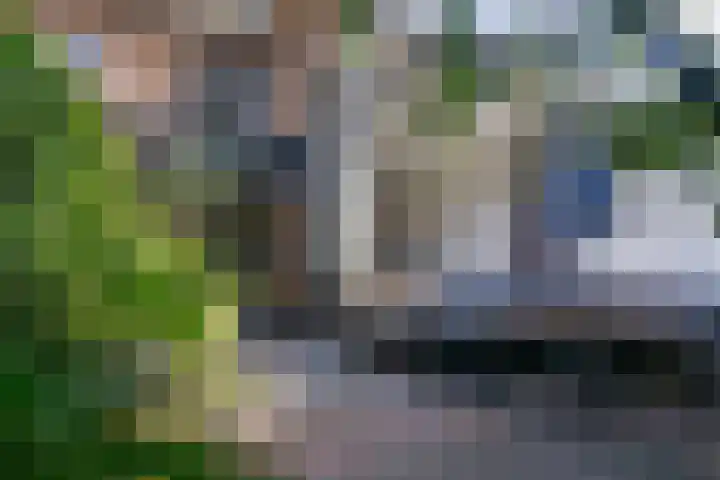 Hermelijnstraat 21 Nijmegen thumbnail 4