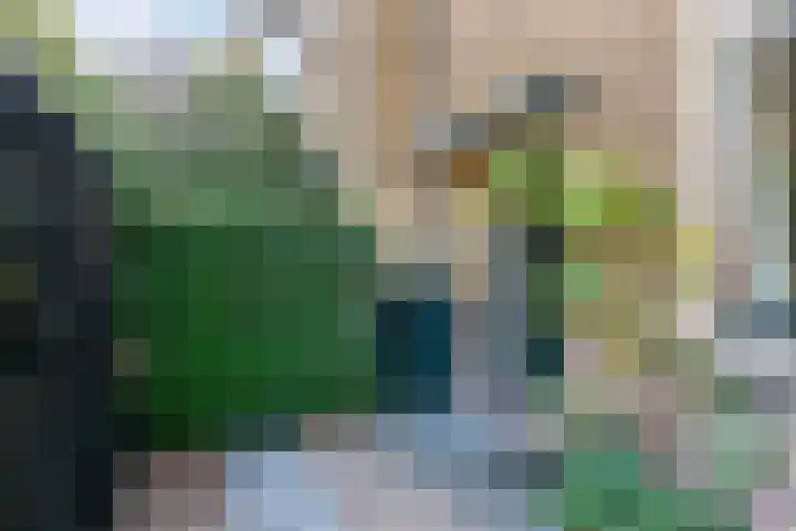 Hermelijnstraat 21 Nijmegen thumbnail 5