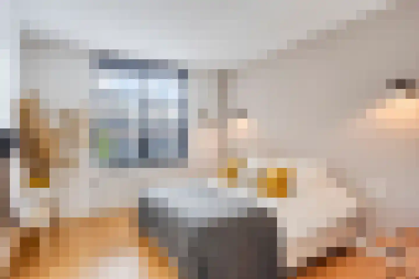 Hermelijnstraat 32 Helmond thumbnail 21