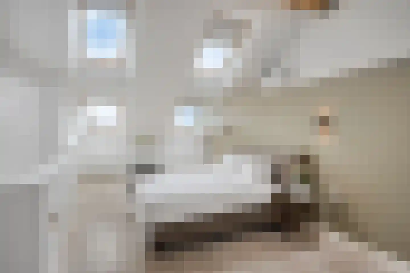 Hermelijnstraat 32 Helmond thumbnail 30