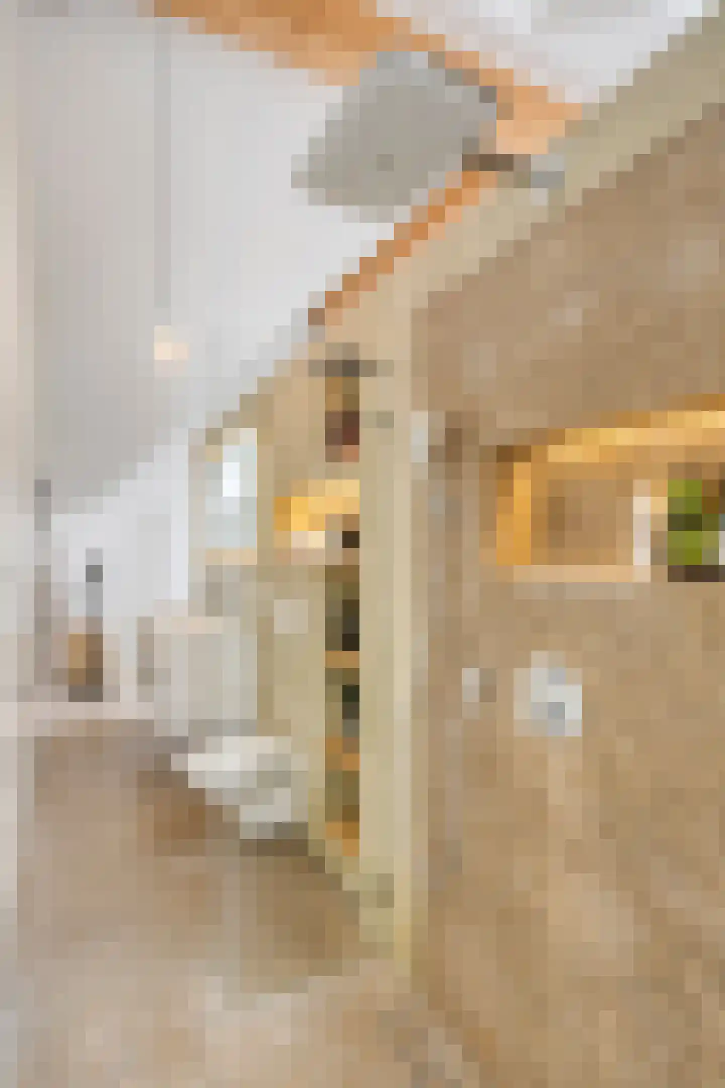Hermelijnstraat 32 Helmond thumbnail 37
