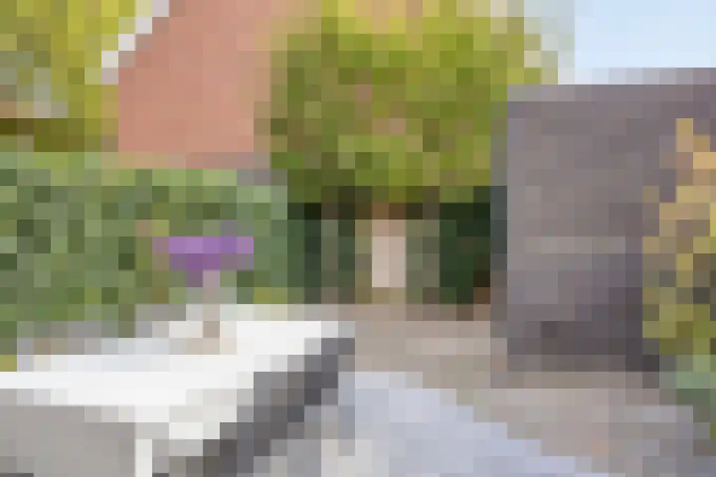 Hermelijnstraat 32 Helmond thumbnail 40