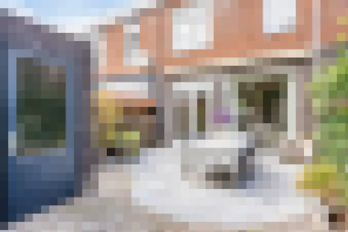 Hermelijnstraat 32 Helmond thumbnail 41
