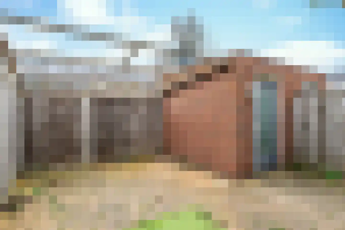 Hermelijnstraat 7 Helmond thumbnail 30