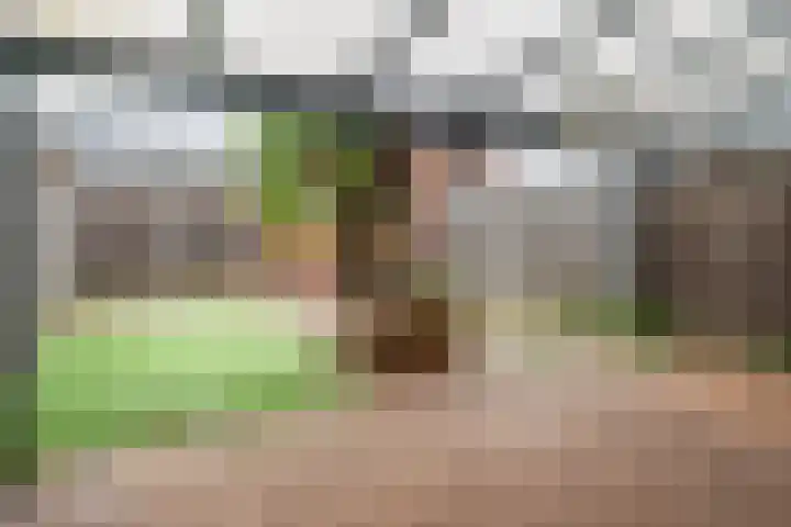 Hermelijnstraat 7 Helmond thumbnail 32