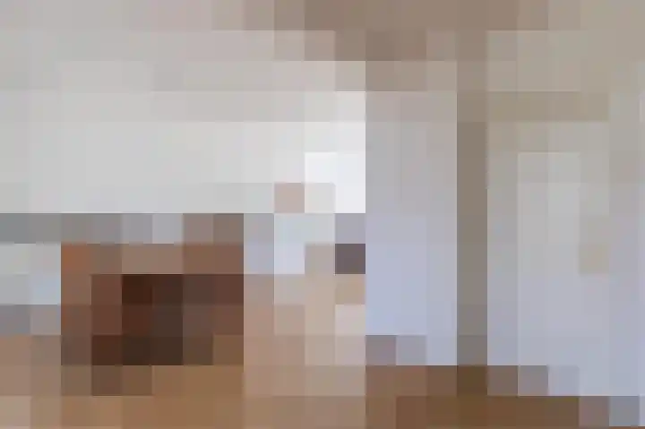 Hermelijnstraat 8 Maarheeze thumbnail 16