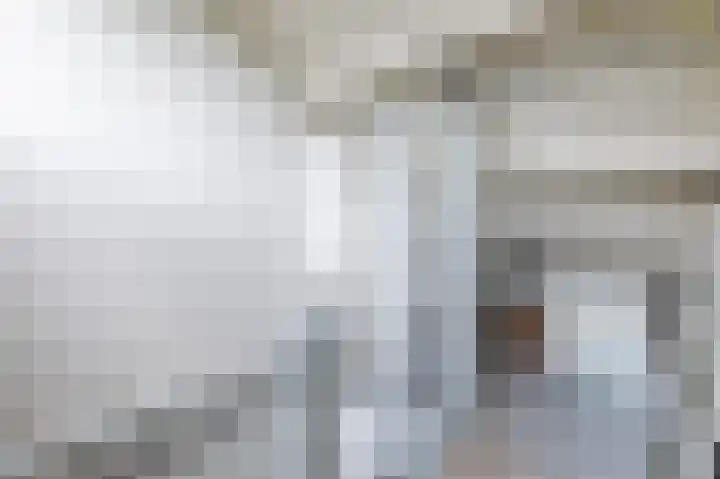 Hermelijnstraat 8 Maarheeze thumbnail 34