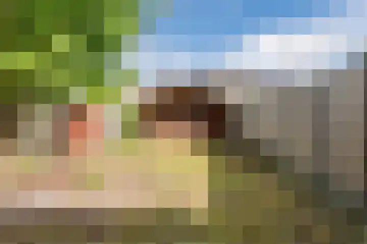 Hermelijnstraat 8 Maarheeze thumbnail 37